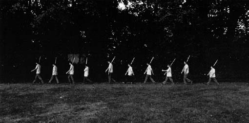 di_sana_pianta_jepg.jpg (54745 byte)